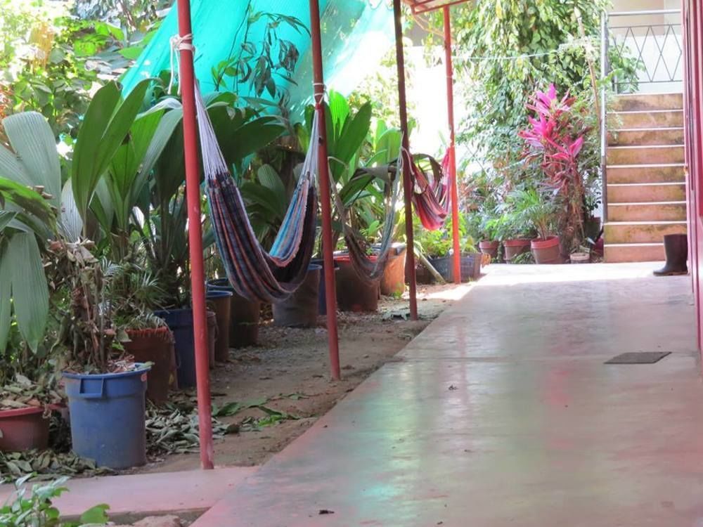 Tambopata Hostel Bambu Puerto Maldonado Esterno foto
