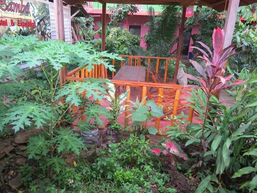 Tambopata Hostel Bambu Puerto Maldonado Esterno foto